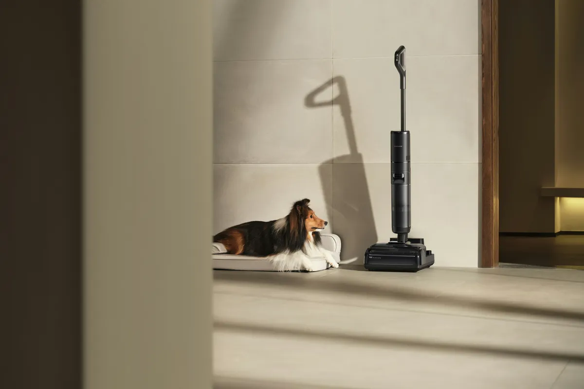 Dog resting on a bed beside a floor cleaner in a plain room