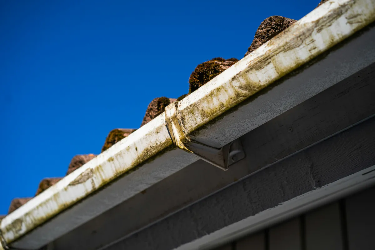 A roof gutter clogged with moss and debris seen against a clear blue sky