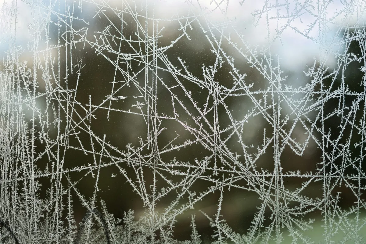 Fern-shaped frost crystals spreading across a cold window pane