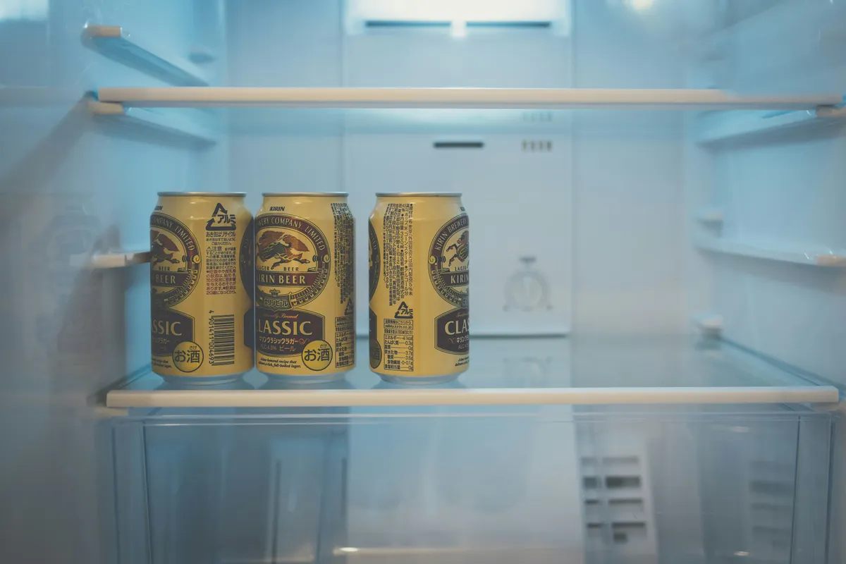 Labelled tins and cartons lined along a refrigerator door shelf