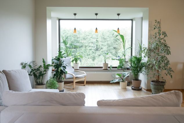 Home Interior Inspiration
